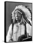 Red Cloud, Dakota Chief, Wearing a Headdress, 1880s-David Frances Barry-Framed Stretched Canvas