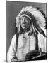 Red Cloud, Dakota Chief, Wearing a Headdress, 1880s-David Frances Barry-Mounted Photographic Print
