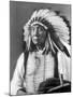 Red Cloud, Dakota Chief, Wearing a Headdress, 1880s-David Frances Barry-Mounted Photographic Print