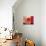 Red Cloud II-Tony Saladino-Art Print displayed on a wall