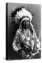 Red Cloud, Oglala Lakota Indian Chief-Science Source-Stretched Canvas