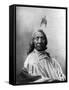 Red Cloud, Oglala Lakota Indian Chief-Science Source-Framed Stretched Canvas