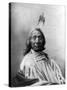 Red Cloud, Oglala Lakota Indian Chief-Science Source-Stretched Canvas