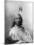 Red Cloud, Oglala Lakota Indian Chief-Science Source-Mounted Giclee Print