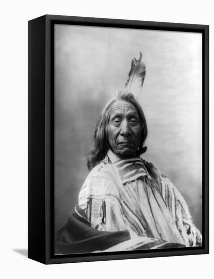 Red Cloud, Oglala Lakota Indian Chief-Science Source-Framed Stretched Canvas