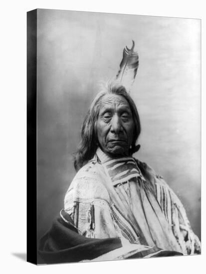 Red Cloud, Oglala Lakota Indian Chief-Science Source-Stretched Canvas