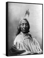 Red Cloud, Oglala Lakota Indian Chief-Science Source-Framed Stretched Canvas