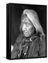 Red Cloud, Oglala Lakota Indian Chief-Science Source-Framed Stretched Canvas