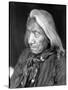 Red Cloud, Oglala Lakota Indian Chief-Science Source-Stretched Canvas