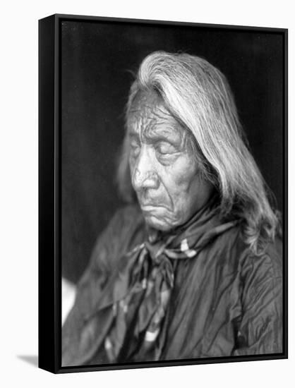 Red Cloud, Oglala Lakota Indian Chief-Science Source-Framed Stretched Canvas