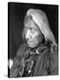 Red Cloud, Oglala Lakota Indian Chief-Science Source-Stretched Canvas