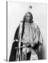 Red Cloud, Oglala Lakota Indian Chief-Science Source-Stretched Canvas