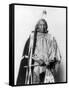 Red Cloud, Oglala Lakota Indian Chief-Science Source-Framed Stretched Canvas