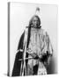 Red Cloud, Oglala Lakota Indian Chief-Science Source-Stretched Canvas