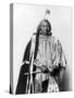 Red Cloud, Oglala Lakota Indian Chief-Science Source-Stretched Canvas