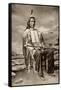 Red Cloud, or Mahpiua Luta, Oglala Sioux Chief, in Quilwork Shirt, 1890s-null-Framed Stretched Canvas