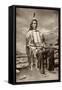 Red Cloud, or Mahpiua Luta, Oglala Sioux Chief, in Quilwork Shirt, 1890s-null-Framed Stretched Canvas