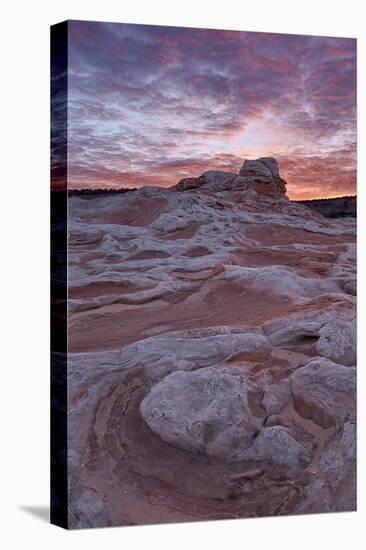 Red Clouds over Sandstone at Sunrise, White Pocket, Vermilion Cliffs National Monument-James Hager-Stretched Canvas
