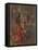 Red Coat with Geranium-Susan Ryder-Framed Stretched Canvas