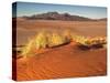 Red Colored Sand Dunes and Golden Grasses in the Namibrand Desert, Namibia-Frances Gallogly-Stretched Canvas