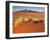 Red Colored Sand Dunes and Golden Grasses in the Namibrand Desert, Namibia-Frances Gallogly-Framed Photographic Print