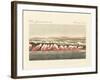 Red-Coloured Snow-null-Framed Giclee Print