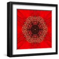 Red Concentric Flower Center: Mandala Kaleidoscopic Design-tr3gi-Framed Art Print