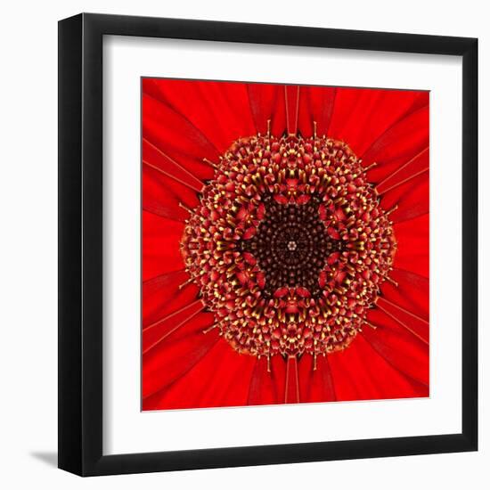 Red Concentric Flower Center: Mandala Kaleidoscopic Design-tr3gi-Framed Art Print