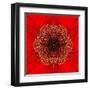 Red Concentric Flower Center: Mandala Kaleidoscopic Design-tr3gi-Framed Art Print