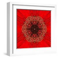 Red Concentric Flower Center: Mandala Kaleidoscopic Design-tr3gi-Framed Art Print