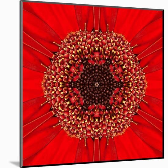 Red Concentric Flower Center: Mandala Kaleidoscopic Design-tr3gi-Mounted Art Print