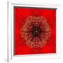 Red Concentric Flower Center: Mandala Kaleidoscopic Design-tr3gi-Framed Art Print