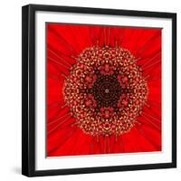 Red Concentric Flower Center: Mandala Kaleidoscopic Design-tr3gi-Framed Art Print