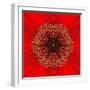 Red Concentric Flower Center: Mandala Kaleidoscopic Design-tr3gi-Framed Art Print