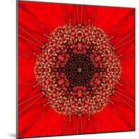 Red Concentric Flower Center: Mandala Kaleidoscopic Design-tr3gi-Mounted Art Print