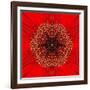 Red Concentric Flower Center: Mandala Kaleidoscopic Design-tr3gi-Framed Art Print