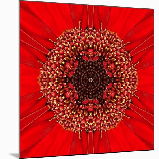 Red Concentric Flower Center: Mandala Kaleidoscopic Design-tr3gi-Mounted Art Print