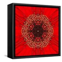 Red Concentric Flower Center: Mandala Kaleidoscopic Design-tr3gi-Framed Stretched Canvas