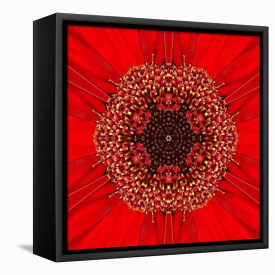 Red Concentric Flower Center: Mandala Kaleidoscopic Design-tr3gi-Framed Stretched Canvas