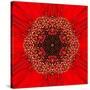 Red Concentric Flower Center: Mandala Kaleidoscopic Design-tr3gi-Stretched Canvas