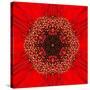 Red Concentric Flower Center: Mandala Kaleidoscopic Design-tr3gi-Stretched Canvas