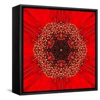 Red Concentric Flower Center: Mandala Kaleidoscopic Design-tr3gi-Framed Stretched Canvas