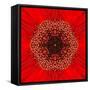 Red Concentric Flower Center: Mandala Kaleidoscopic Design-tr3gi-Framed Stretched Canvas