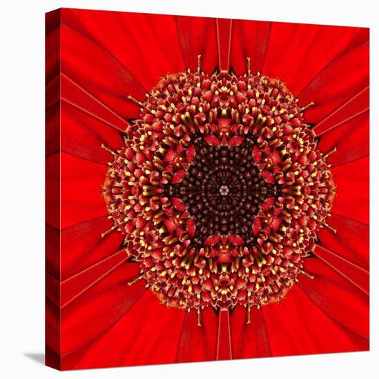 Red Concentric Flower Center: Mandala Kaleidoscopic Design-tr3gi-Stretched Canvas