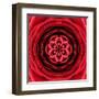 Red Concentric Flower Center: Mandala Kaleidoscopic Design-tr3gi-Framed Art Print