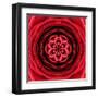 Red Concentric Flower Center: Mandala Kaleidoscopic Design-tr3gi-Framed Art Print