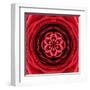 Red Concentric Flower Center: Mandala Kaleidoscopic Design-tr3gi-Framed Art Print