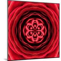 Red Concentric Flower Center: Mandala Kaleidoscopic Design-tr3gi-Mounted Art Print