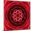 Red Concentric Flower Center: Mandala Kaleidoscopic Design-tr3gi-Mounted Art Print