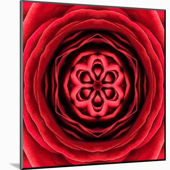 Red Concentric Flower Center: Mandala Kaleidoscopic Design-tr3gi-Mounted Art Print